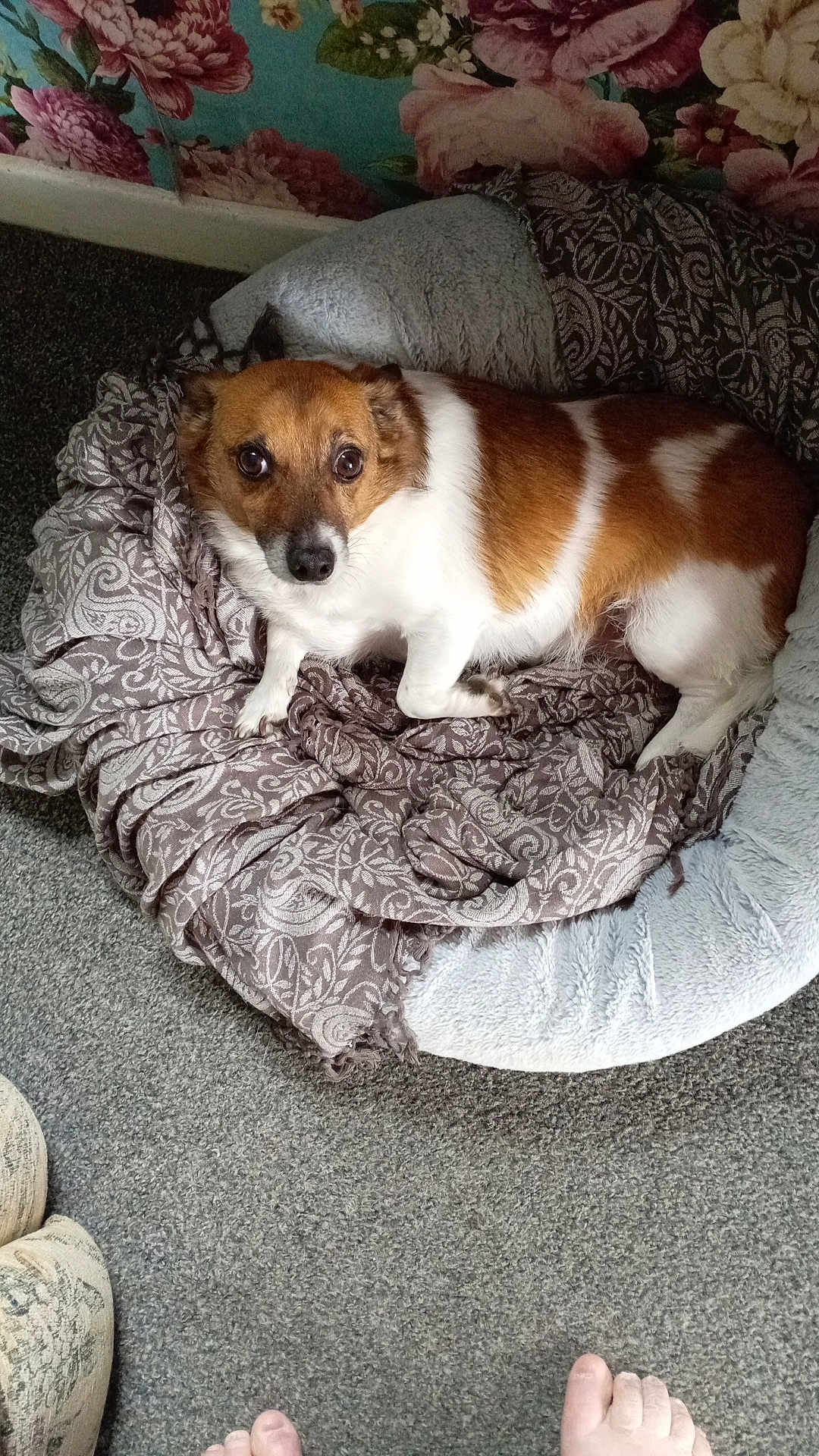 Max