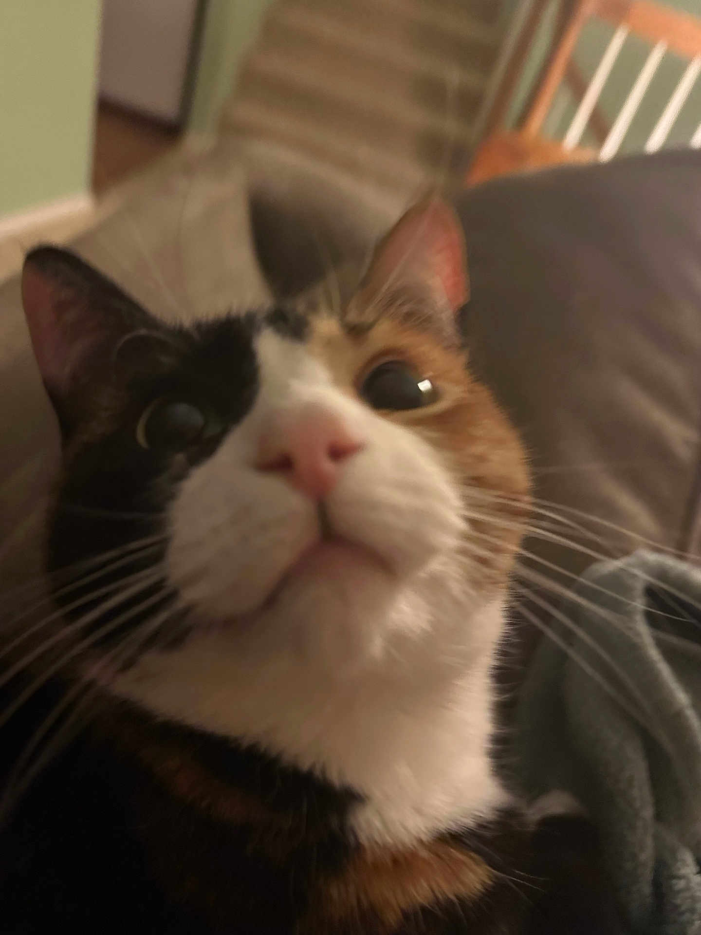 Patches