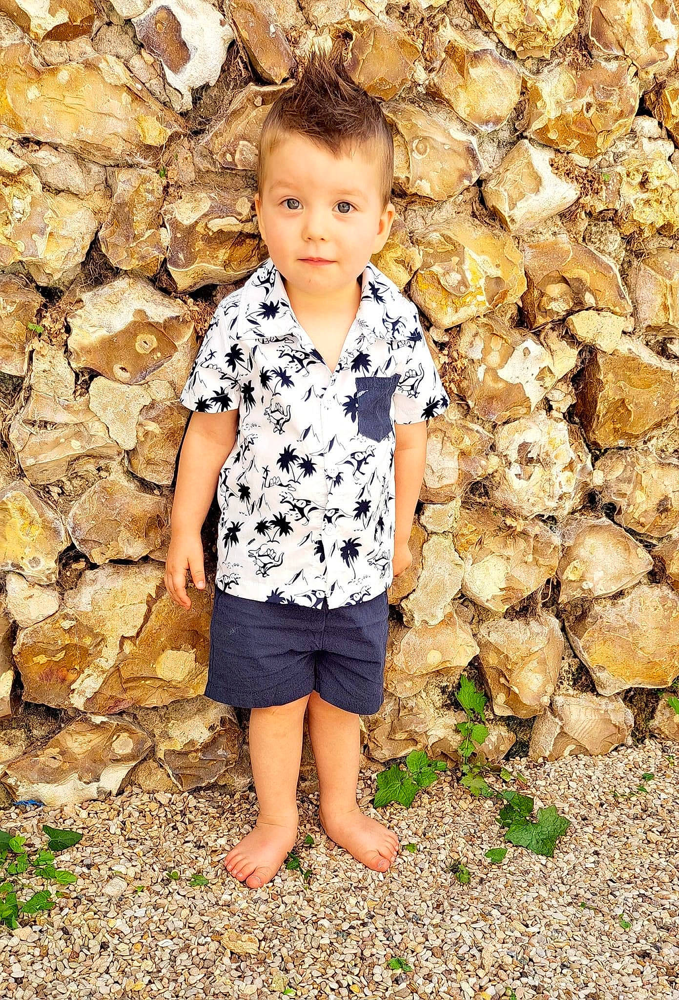 Loévan participe au concours pour gagner de l'argent avec cette photo : barefoot, child, eye, face, flash_photography, fun, grass, hair, happy, human_body, landscape, leaf, people_in_nature, person, shorts, standing, summer, t_shirt, toddler, tree