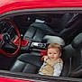 toddler, child, car, bmw, red_car, leather_seat, steering_wheel, window, people, group, formal_clothing, outdoor, smiling, young_child, vehicle_interior, parking_lot, reflection, clothing, portrait, daylight