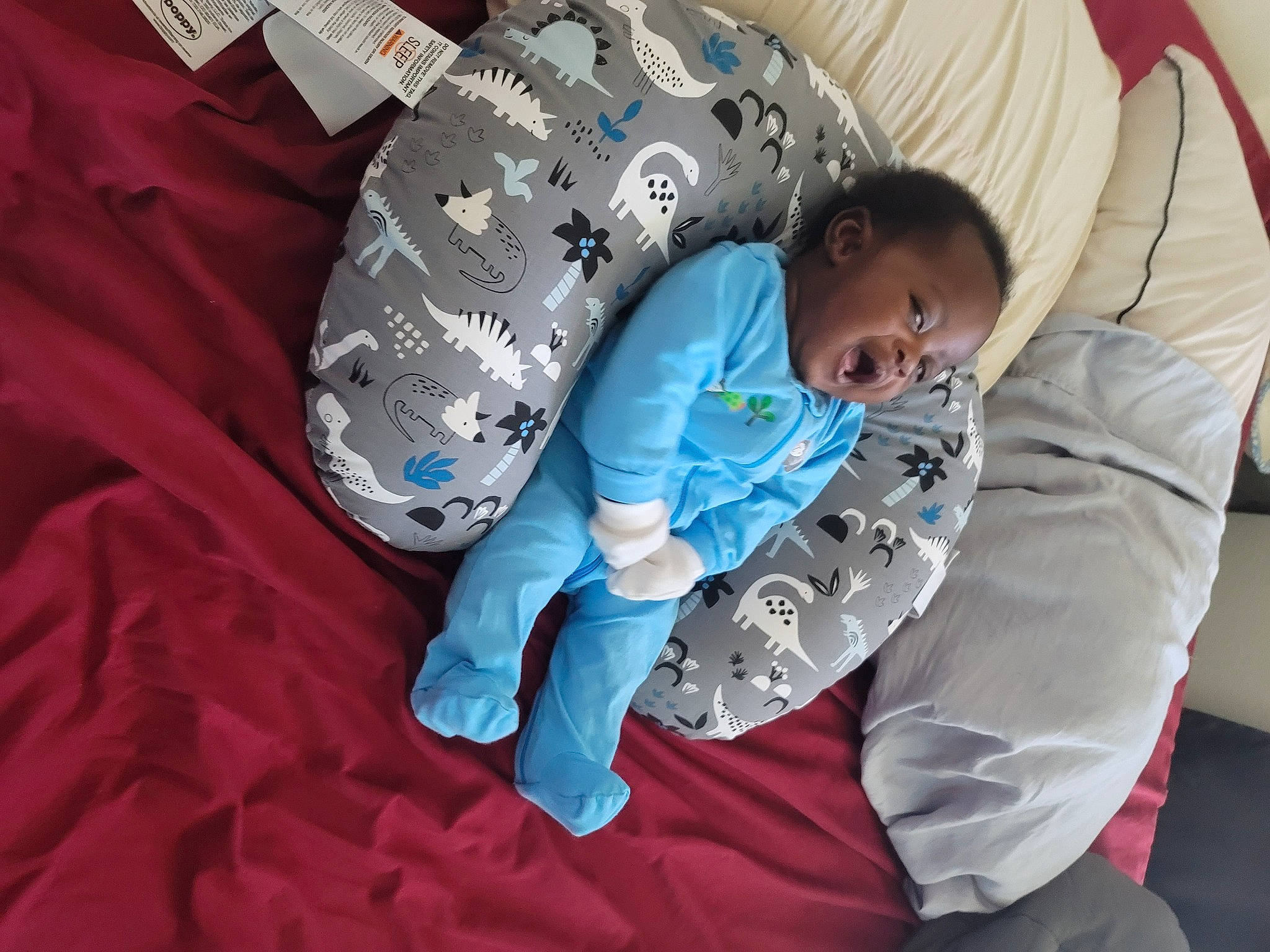 Maxwell is registered to the contest to win money with this photo: baby, baby_products, baby_sleeping, baby_toddler_clothing, bedtime, child, comfort, electric_blue, happy, linens, nap, pattern, person, play, room, sitting, sleep, sleeve, textile, toddler