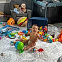 baby, child, toys, floor, smiling, indoor, basket, stuffed_animals, chair, clothes, changing_table, window, plastic_toys, playroom, happy, infant, diaper, ball, colorful, mess