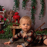 Camille participe au concours pour gagner de l'argent avec cette photo : toddler, child, plaid_clothing, floor, indoor, greenery, red_berries, lantern, wooden_stool, vines, serious_expression, blonde_hair, cute, portrait, decor, natural_light, crawling, baby, home, cozy