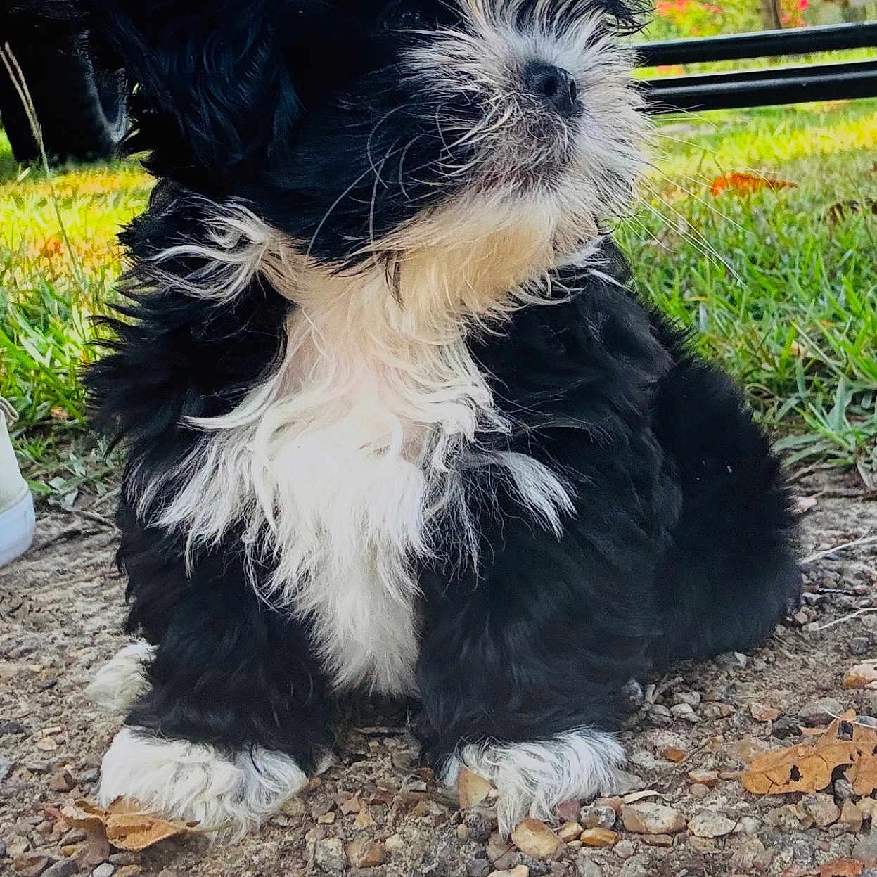 Pablo