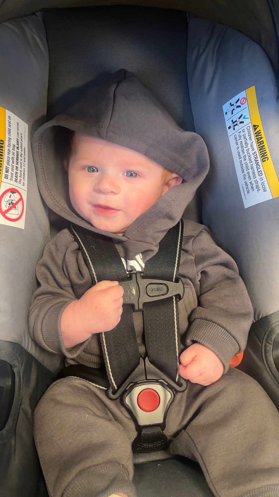 Malakai is registered to the contest to win money with this photo: baby, child, car_seat, hoodie, smile, infant, seatbelt, safety_harness, cute, clothing, person, young_child, indoor, portrait, face, hands, casual_wear, baby_fashion, adorable, young_infant