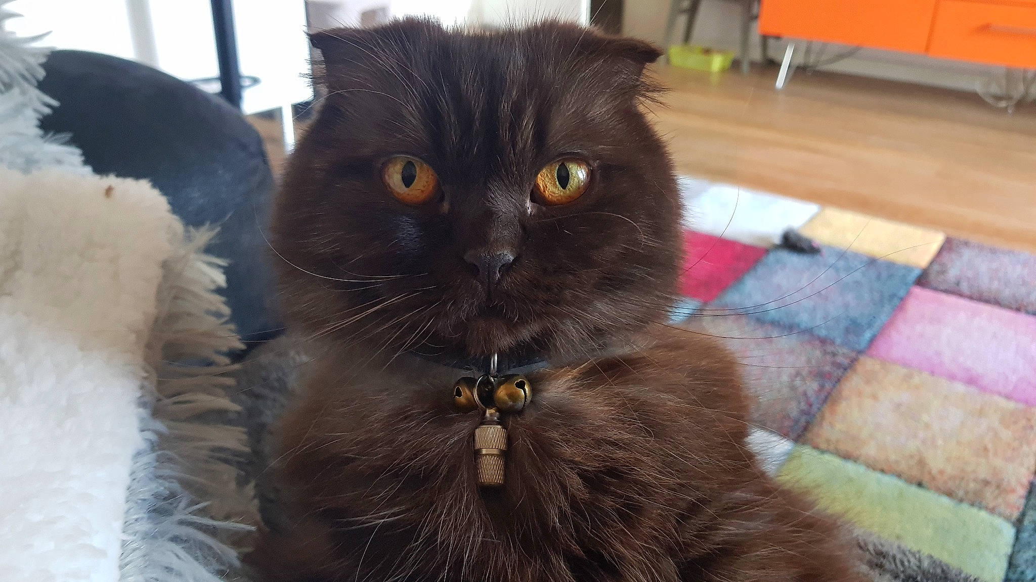 Praline