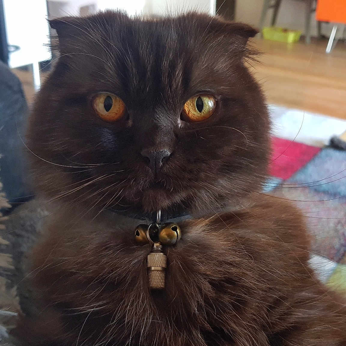 Praline