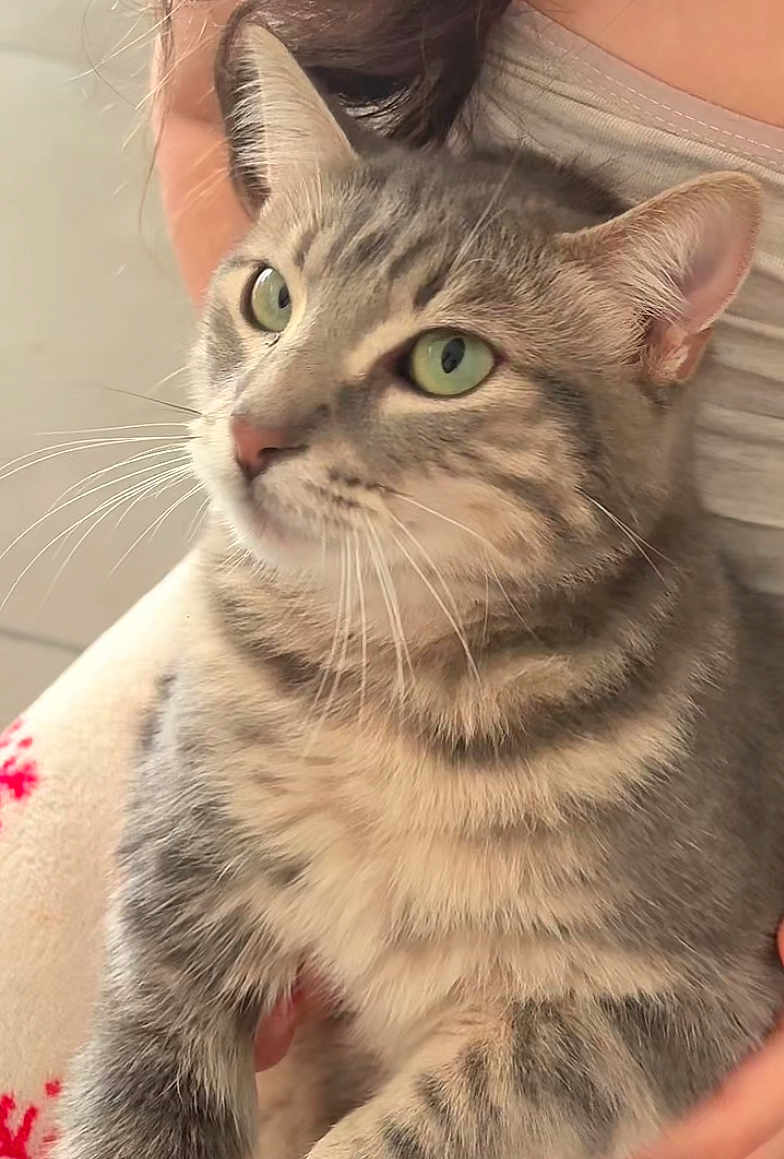 Lola