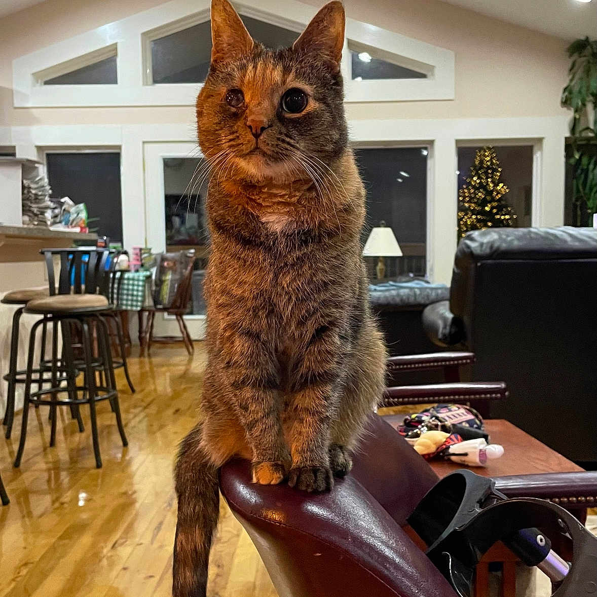 Hannah