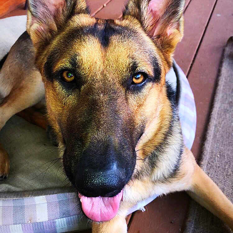 Thor