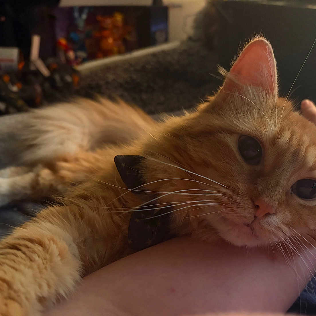 Marmalade