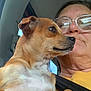 dog, person, glasses, car, seatbelt, yellow_shirt, close_up, pet, brown_dog, white_fur, indoor, window, casual, portrait, animal, companion, candid, human, face, reflection