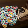 dog, sleeping, blanket, floral_pattern, pillow, couch, resting, cozy, indoor, pet, black_and_white, fur, paw, relaxation, home, comfort, animal, canine, domestic, nap