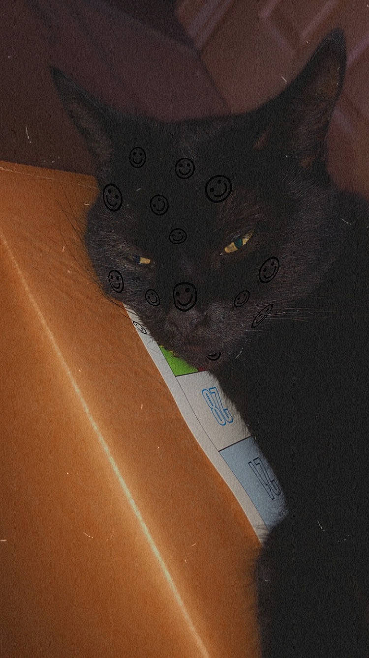 Chips is registered to the contest to win money with this photo: art, automotive_tire, automotive_wheel_system, carmine, cat, electric_blue, felidae, fender, metal, outdoor_shoe, personal_protective_equipment, rim, small_to_medium_sized_cats, terrestrial_animal, tints_and_shades, tire, vehicle_door, whiskers, windshield