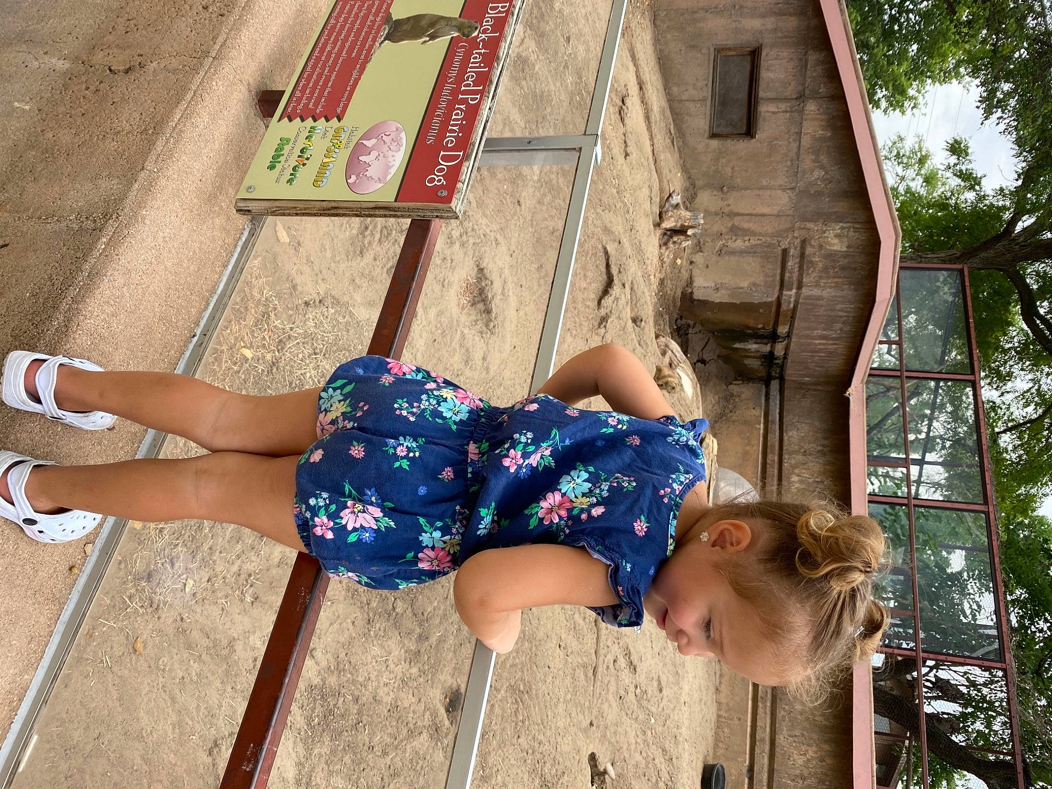 Amalia is registered to the contest to win money with this photo: barefoot, beauty, calf, denim, electric_blue, foot, fun, human_leg, knee, leisure, person, sandal, shorts, sitting, street_fashion, t_shirt, thigh, toddler, toe, tree