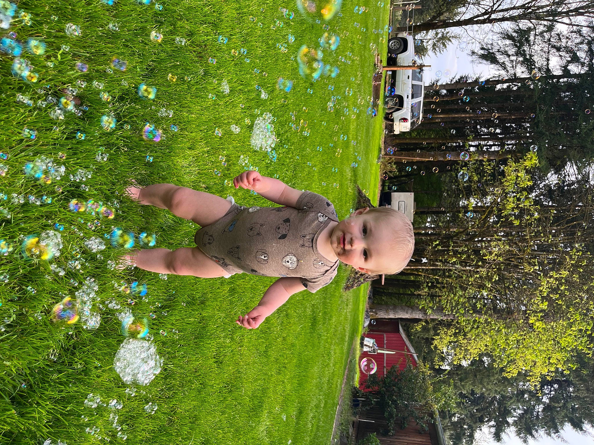 Cai joined the competition — help win amazing prizes! adventure, fun, garden, grass, grassland, green, happy, landscape, lawn, leisure, people_in_nature, person, plant, play, recreation, shrub, sport_climbing, toddler, tree, yard