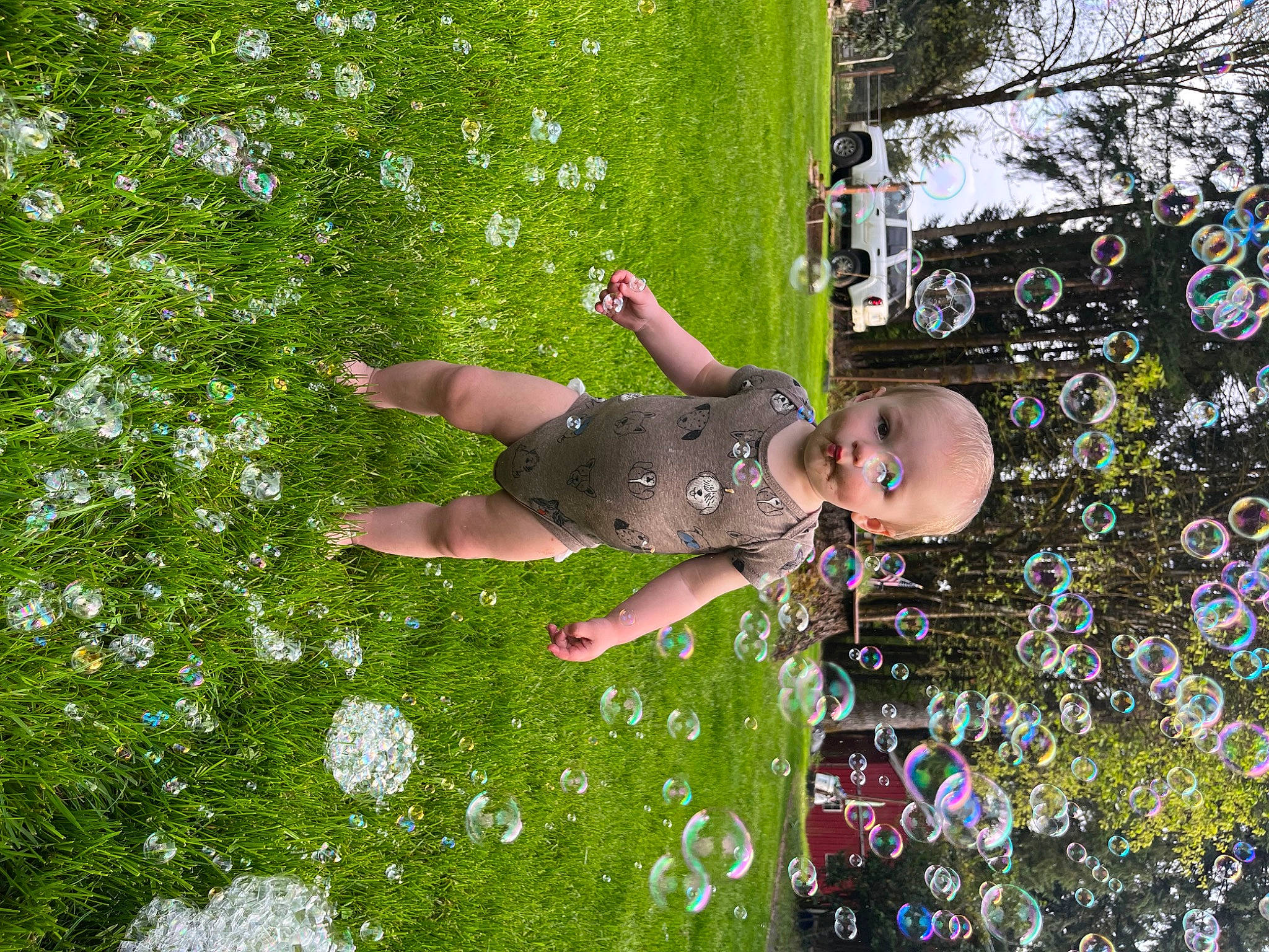 Cai is registered to the contest to win money with this photo: botany, child, flower, fun, garden, grass, grass_family, grassland, happy, leaf, leisure, people_in_nature, person, plant, play, recreation, shrub, summer, toddler, tree