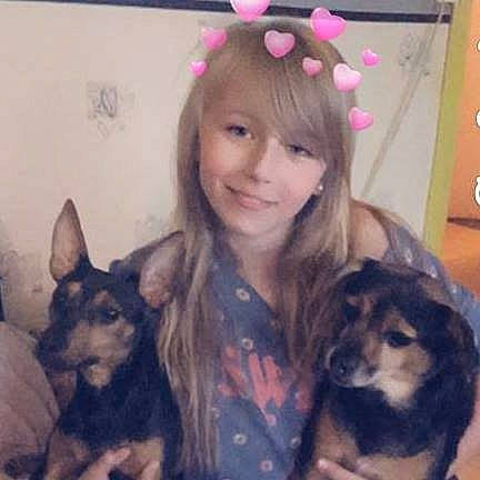 Anais a rejoint le concours — aidez-le/la à gagner de superbes lots ! black_hair, canidae, carnivore, companion_dog, dog, dog_breed, ear, german_shepherd_dog, hair, hairstyle, joy, king_shepherd, long_hair, mammal, person, puppy, puppy_love, selfie, siberian_husky, working_dog