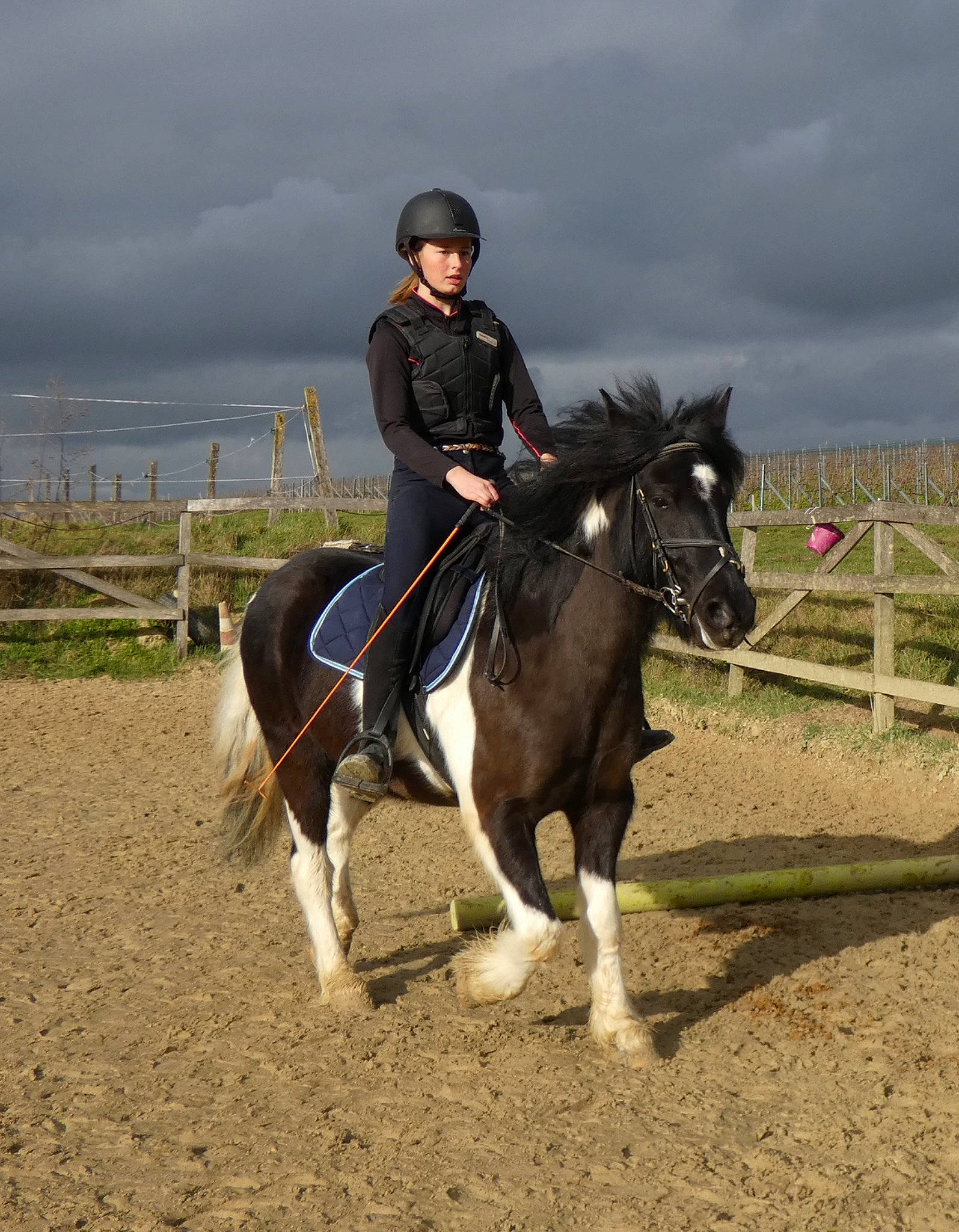 Vegas participe au concours pour gagner de l'argent avec cette photo : animal_sports, bridle, equestrian, equestrian_sport, equestrianism, equitation, halter, horse, horse_supplies, horse_tack, hunt_seat, mammal, mane, outdoor_recreation, recreation, rein, saddle, stallion, vertebrate, western_riding