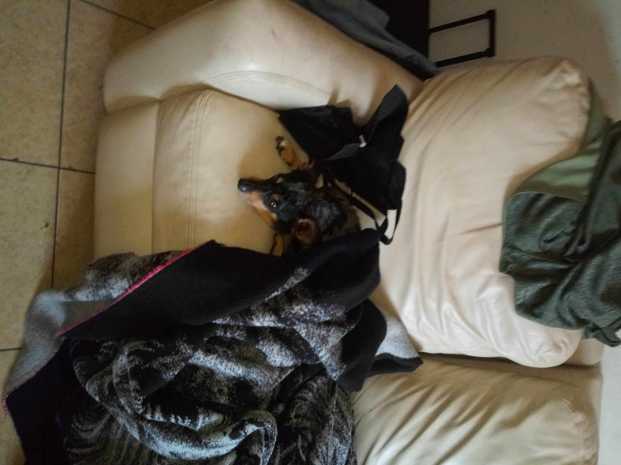 Fatboy is registered to the contest to win money with this photo: bed, comfort, furniture, linens, room