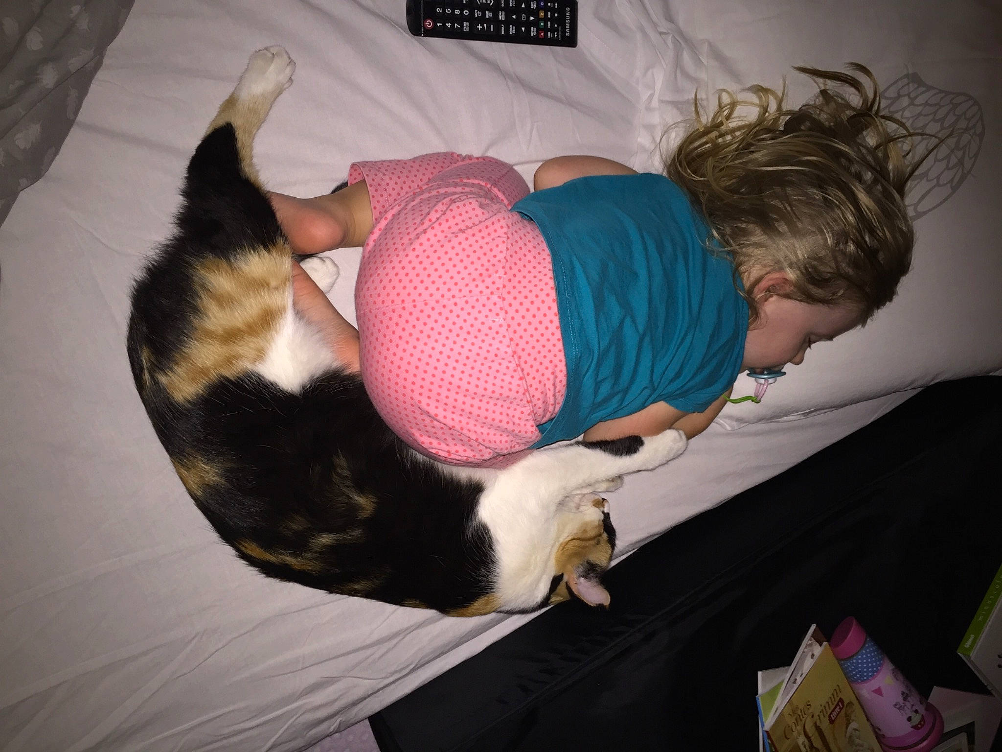 Maya a rejoint le concours — aidez-le/la à gagner de superbes lots ! cat, comfort, companion_dog, couch, dog_breed, domestic_short_haired_cat, felidae, fun, fur, human_leg, lap, linens, nap, room, sleep, small_to_medium_sized_cats, tail, textile, thigh, whiskers