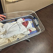 Raphaël a rejoint le concours — aidez-le/la à gagner de superbes lots ! newborn, baby, hospital, bassinet, white_clothing, hat, blanket, hand, floor, medical_equipment, infant, sleeping, person, bed, hospital_room, cute, small, resting, child, healthcare