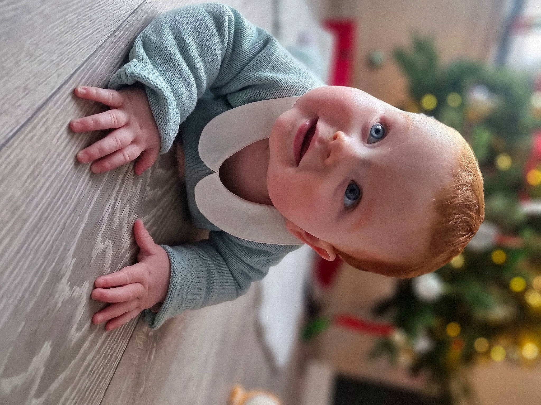 Skye joined the competition — help win amazing prizes! baby, baby_toddler_clothing, child, christmas_tree, event, eye, fun, gesture, grass, hand, happy, nose, people, person, plant, sleeve, smile, toddler, tree, window