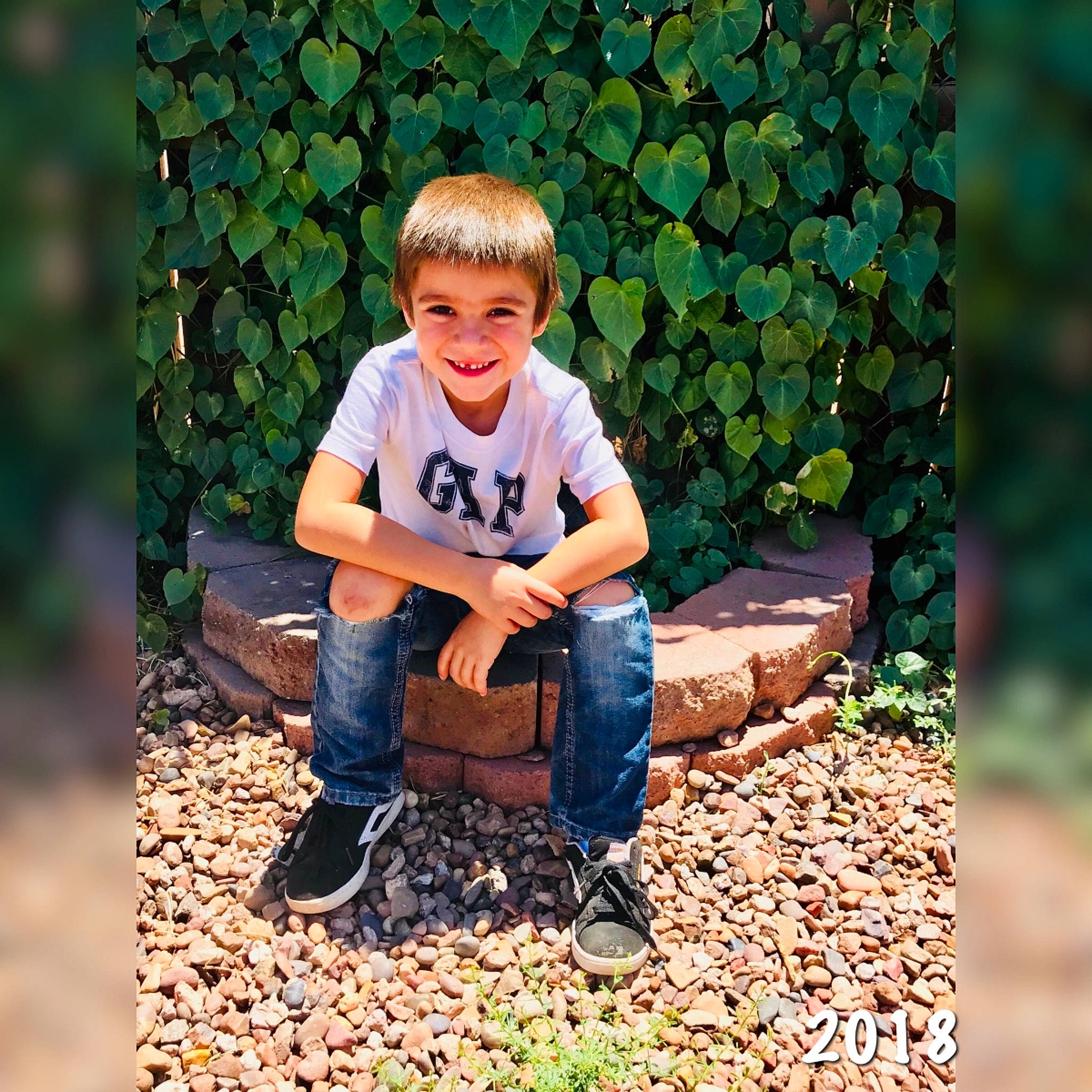 Aundray is registered to the contest to win money with this photo: autumn, boy, child, fun, garden, grass, joy, leaf, person, photograph, photography, plant, play, sitting, smile, toddler, tree