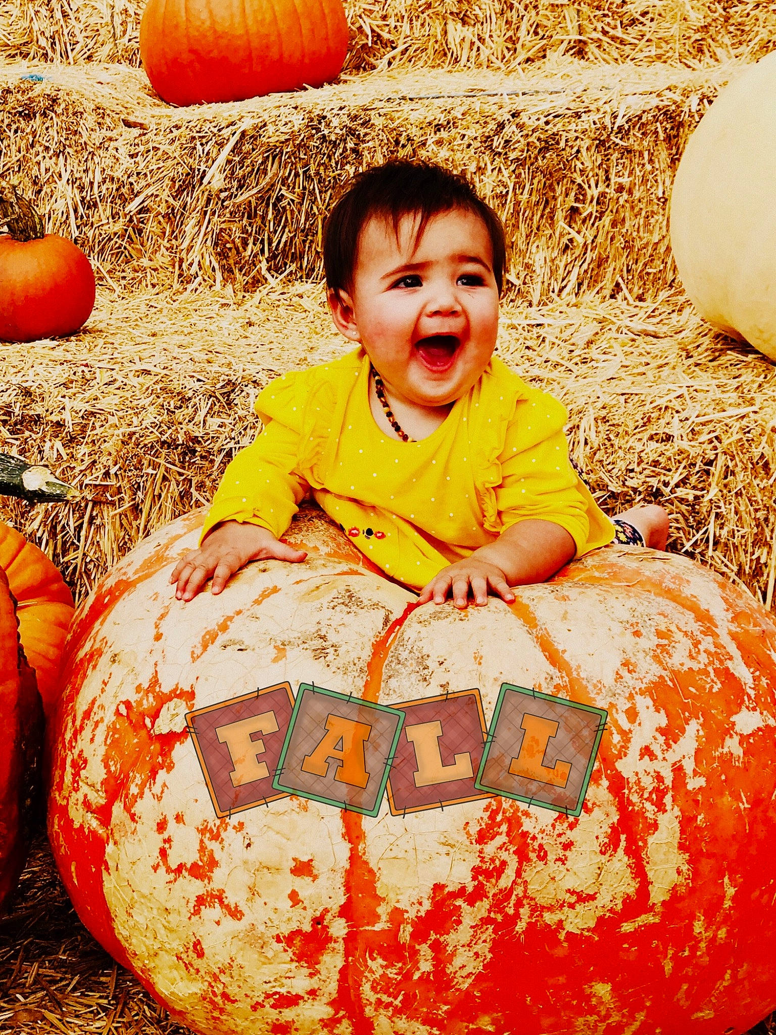 Alayah is registered to the contest to win money with this photo: calabaza, carving, child, cucurbita, fun, girl, gourd, person, pumpkin, recreation, smile, winter_squash