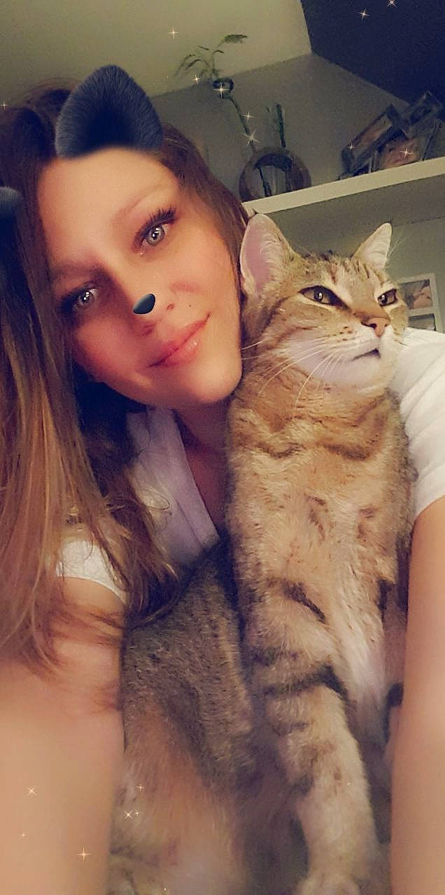 Chanel participe au concours pour gagner de l'argent avec cette photo : asian, beauty, blond, brown_hair, carnivore, cat, cheek, eye, eyebrow, face, fawn, felidae, fur, hair, long_hair, nose, photography, selfie, small_to_medium_sized_cats, whiskers