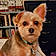 Baxter