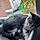 Baloo