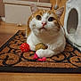 cat, orange_and_white_cat, toy_ball, pink_string, doormat, wooden_floor, cat_tree, indoor, pet, feline, curious, sitting, clawing, whiskers, ears, floor_mat, playful, domestic_cat, closeup, animal
