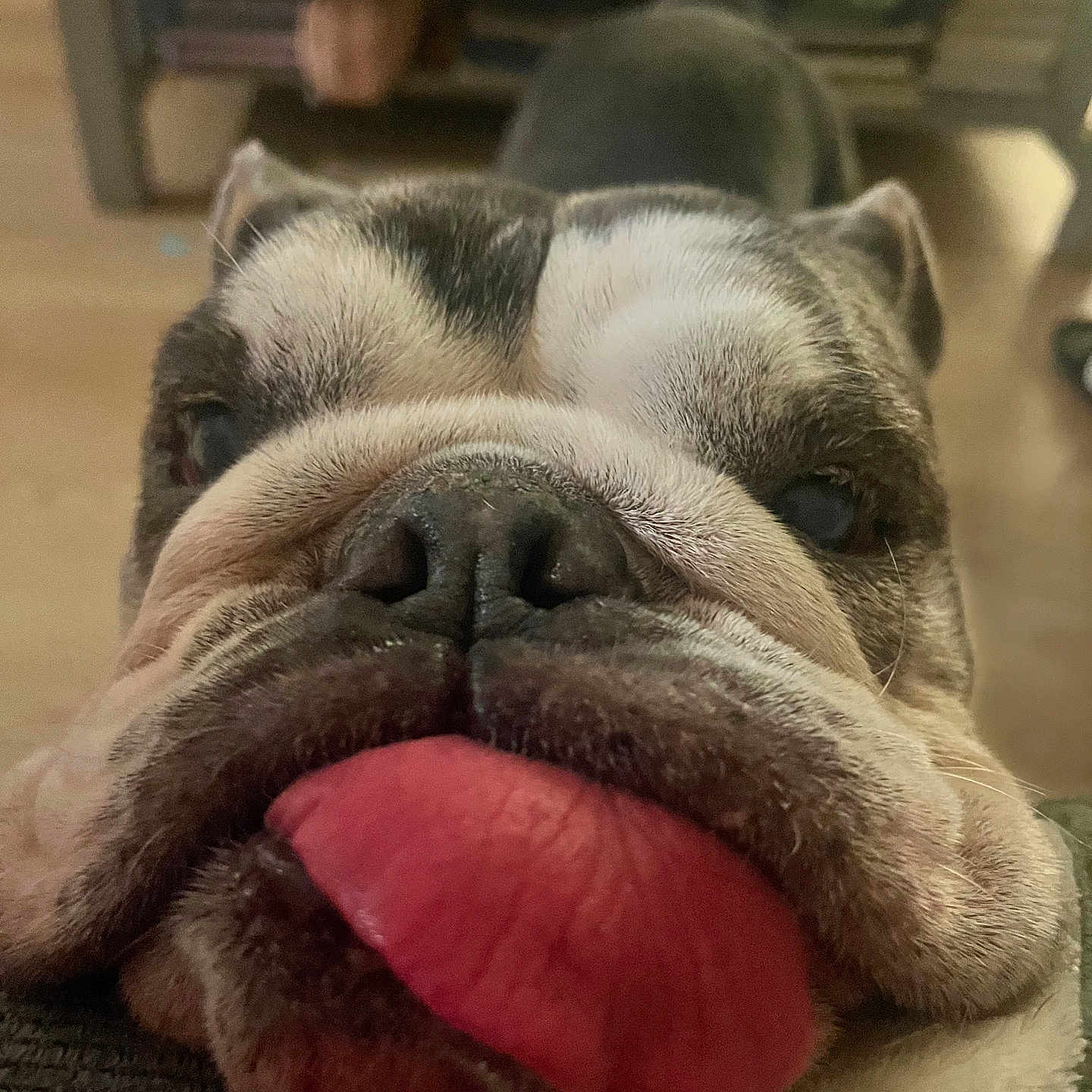 Bubba