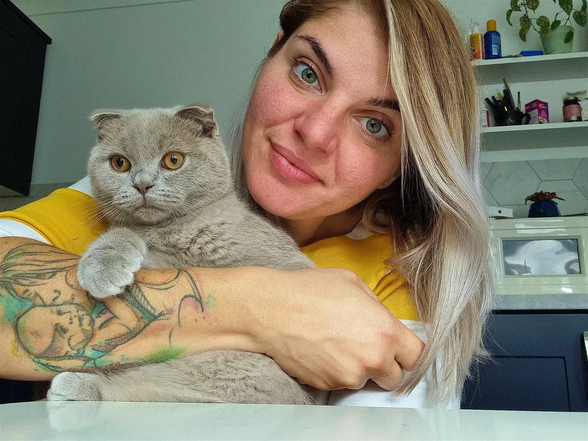 Miki is registered to the contest to win money with this photo: carnivore, cat, comfort, domestic_short_haired_cat, eyelash, fawn, felidae, fur, gesture, happy, hug, kitchen_appliance, paw, room, shelf, shelving, sitting, small_to_medium_sized_cats, smile, whiskers