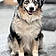Arlo