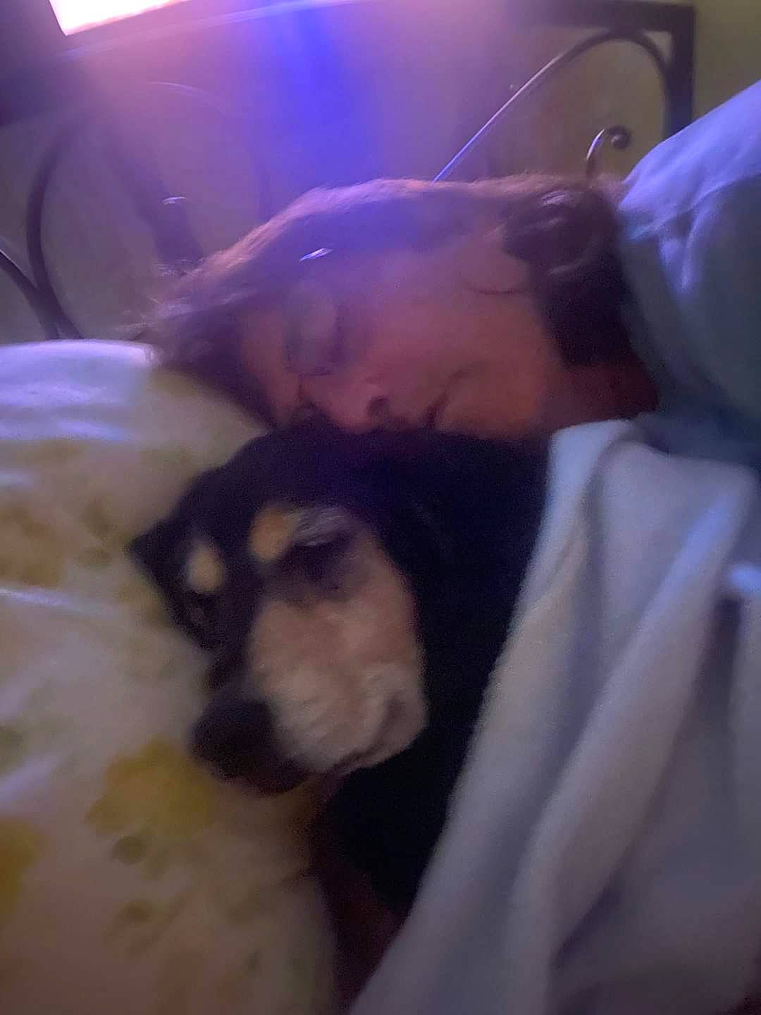 Dutchess joined the competition — help win amazing prizes! abdomen, canidae, carnivore, child, comfort, companion_dog, dog, dog_breed, event, felidae, flesh, fun, fur, nap, sleep, small_to_medium_sized_cats, sporting_group, toy_dog, whiskers