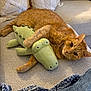 cat, orange_tabby, plush_toy, crocodile_toy, couch, pillow, blanket, cozy, indoor, pet, feline, relaxing, cute, stuffed_animal, fur, animal, home, resting, comfort, soft
