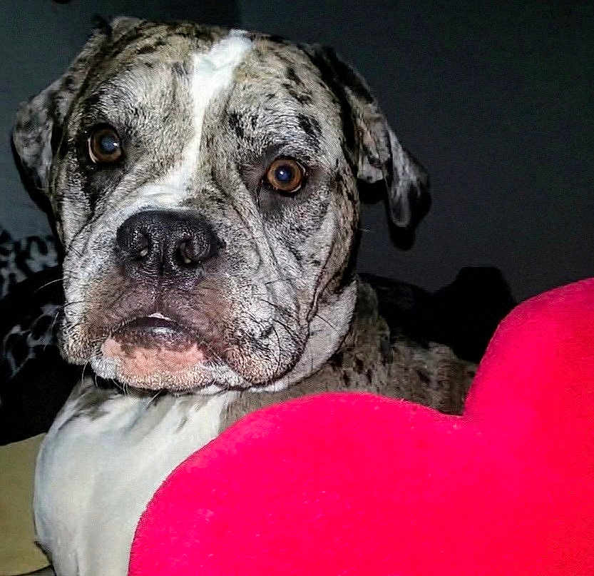 Petey