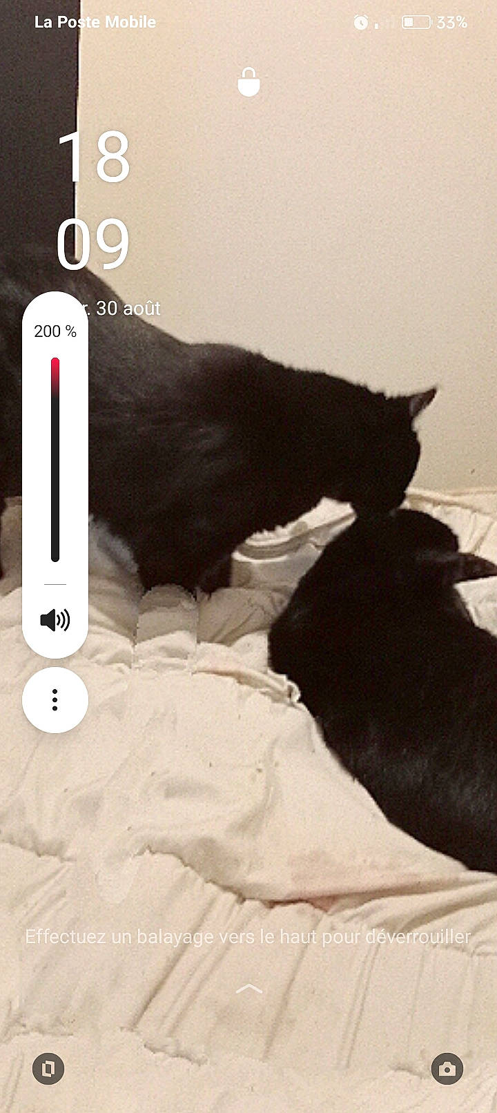 Bakera Et Mougli participe au concours pour gagner de l'argent avec cette photo : audio_equipment, bedding, black_cat, cat, circle, comfort, dog_breed, domestic_short_haired_cat, felidae, font, fur, gadget, gesture, linens, nap, room, small_to_medium_sized_cats, tail, whiskers