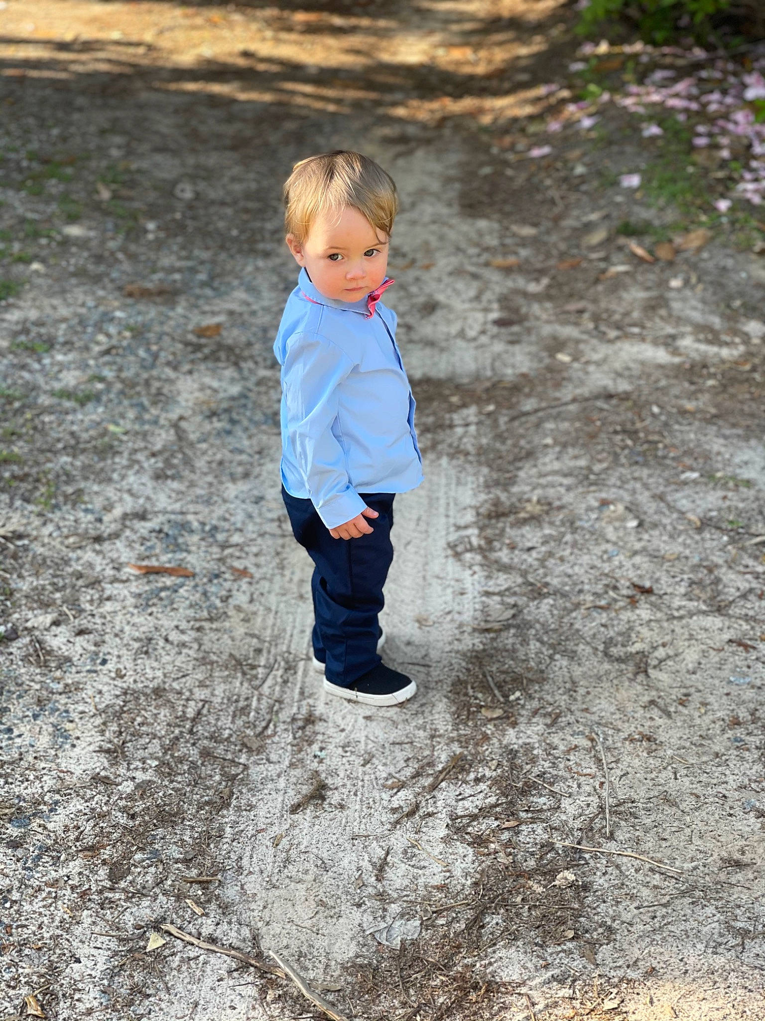 Andrew is registered to the contest to win money with this photo: asphalt, flooring, fun, grass, grass_family, jacket, landscape, leisure, people_in_nature, person, plant, recreation, road, road_surface, sand, sidewalk, soil, toddler, tree, winter