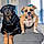 Tayson Et Vegas