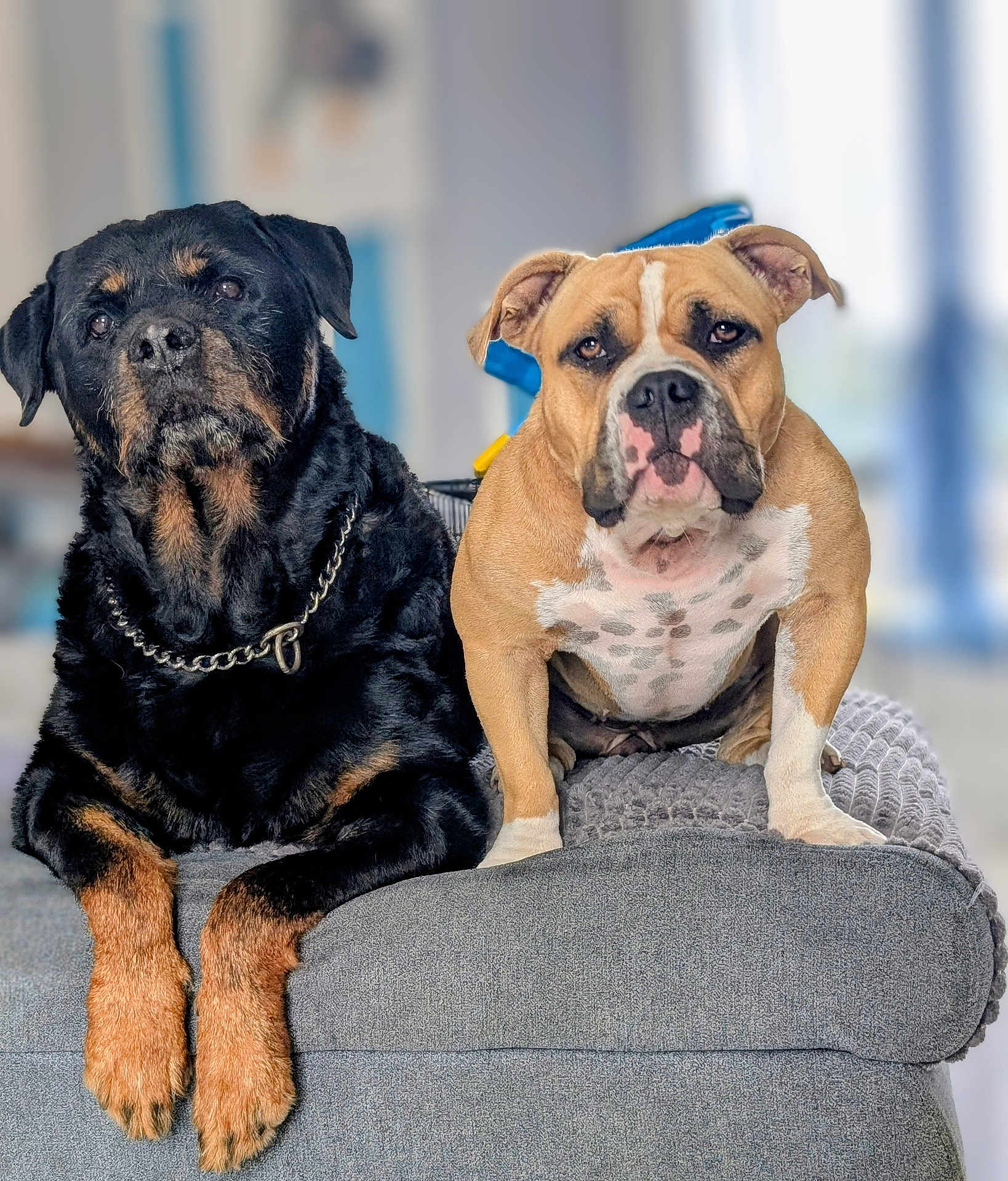 Tayson Et Vegas