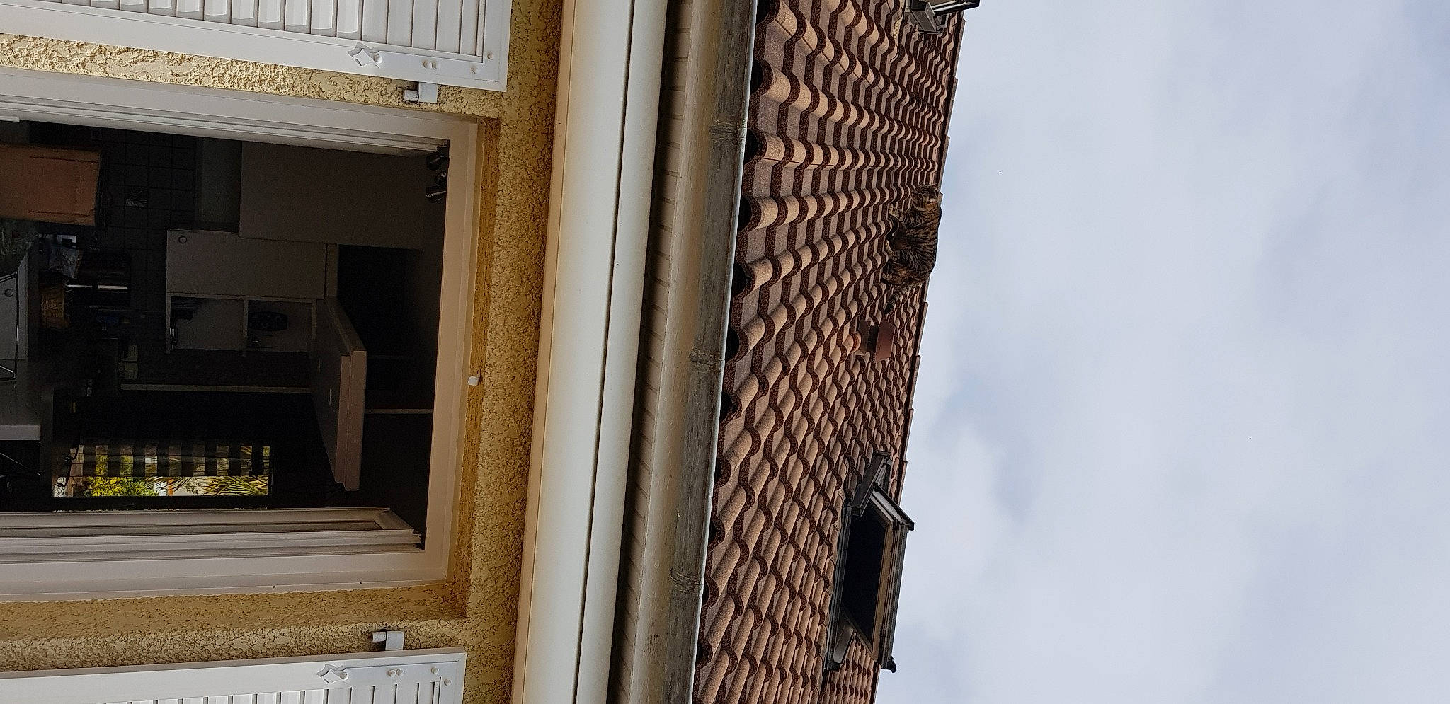 Nioki a rejoint le concours — aidez-le/la à gagner de superbes lots ! apartment, brick, brickwork, building, cloud, composite_material, concrete, condominium, facade, gas, glass, house, material_property, rectangle, roof, shade, sky, urban_design, window, wood