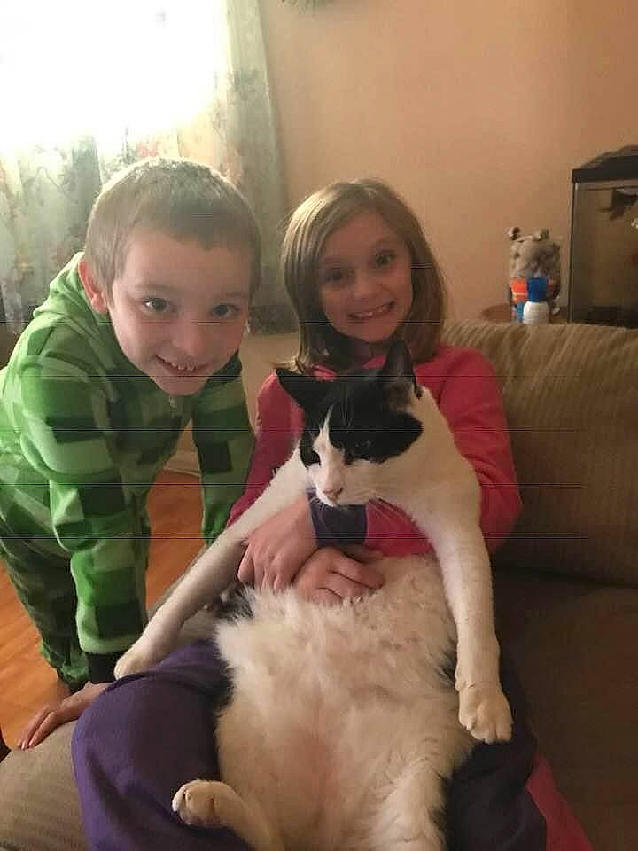 Blackie joined the competition — help win amazing prizes! arm, carnivore, cat, comfort, companion_dog, curtain, dog_breed, domestic_short_haired_cat, eye, felidae, fun, fur, happy, home_appliance, lap, sitting, small_to_medium_sized_cats, smile, tail, whiskers