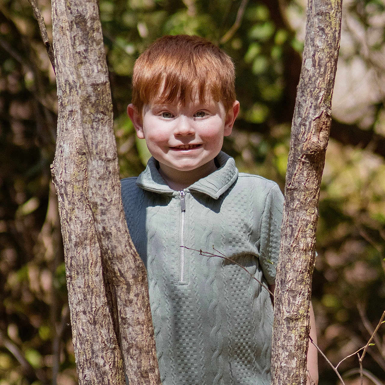 Malakai is registered to the contest to win money with this photo: child, red_hair, forest, tree, outdoor, smile, green_pullover, nature, sunlight, happy, person, playful, young, boy, casual_clothing, daylight, trunk, background, leaves, portrait