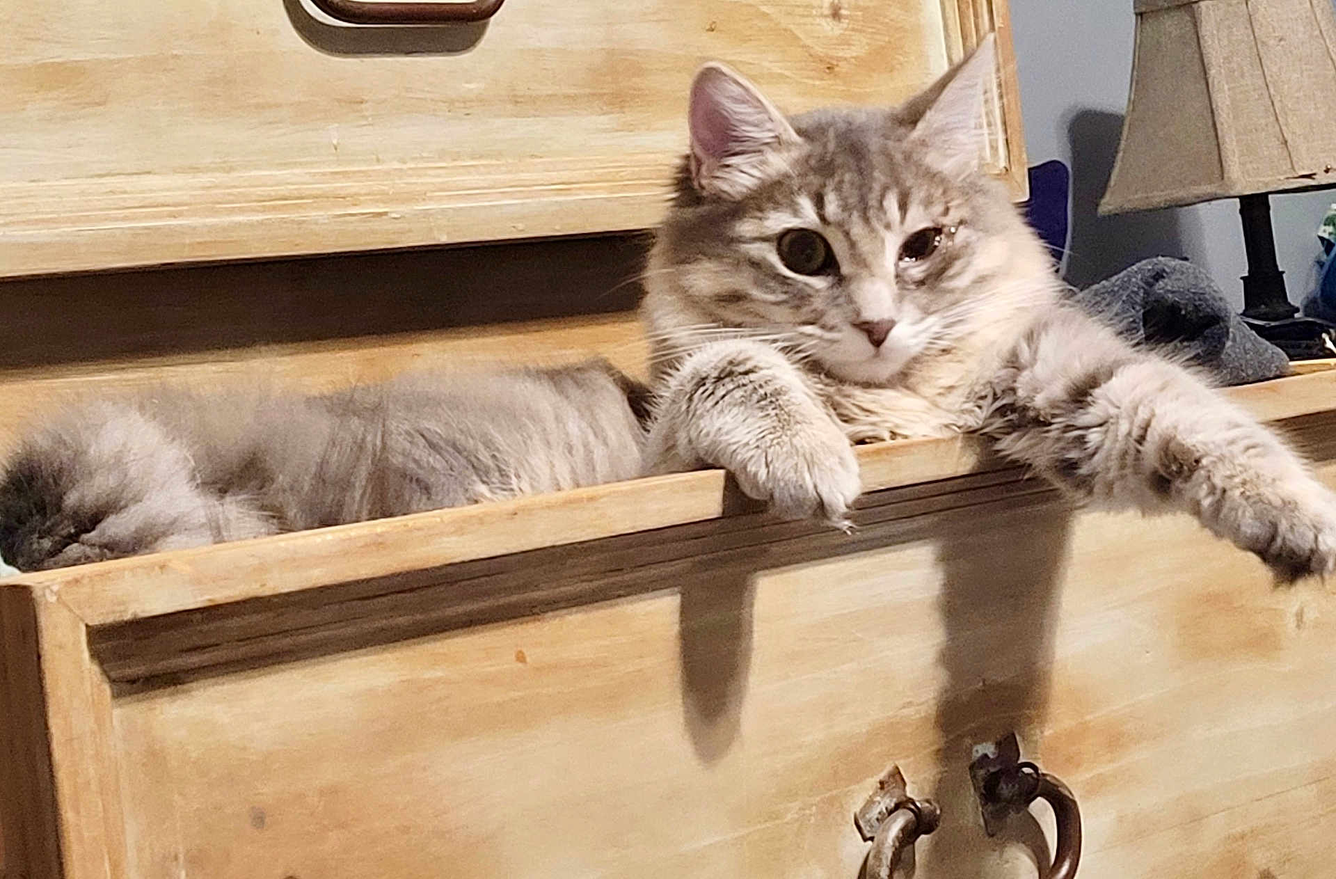 Kaza