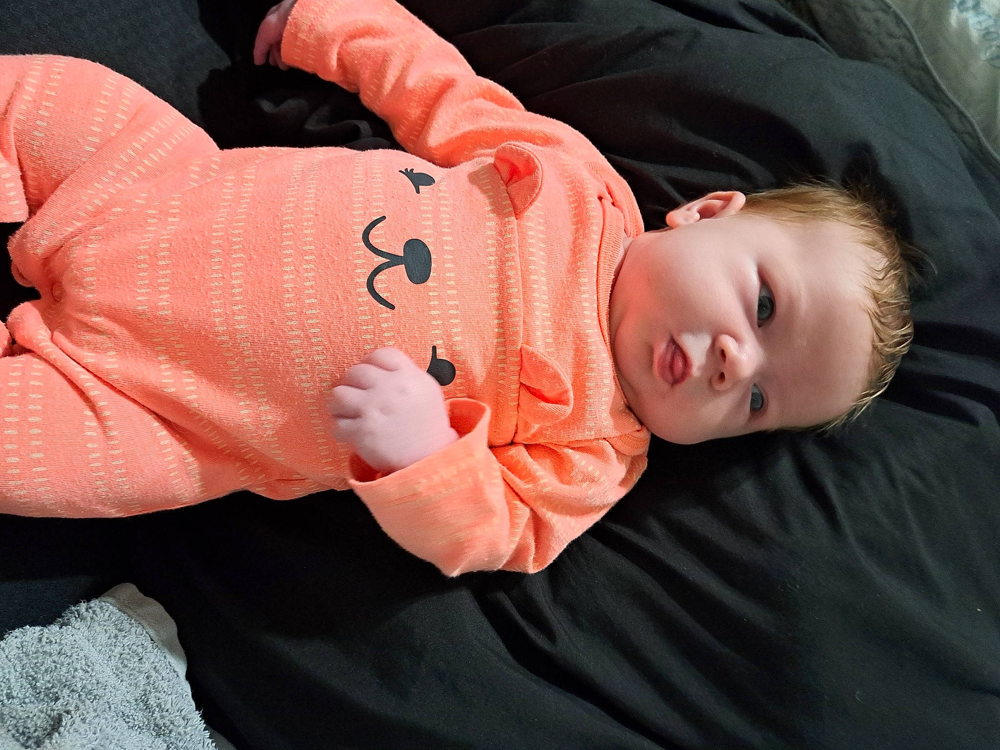 Harley joined the competition — help win amazing prizes! baby, baby_products, baby_toddler_clothing, carmine, cheek, child, comfort, gesture, grass, happy, human_body, nose, person, plant, sitting, skin, sleeve, toddler, tree, wood