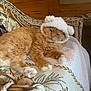cat, orange_cat, fluffy, hat, white_hat, bear_ears, couch, patterned_couch, paws, pink_paw_pads, wooden_wall, wicker_furniture, relaxed, indoor, pet, feline, cozy, resting, cute, animal