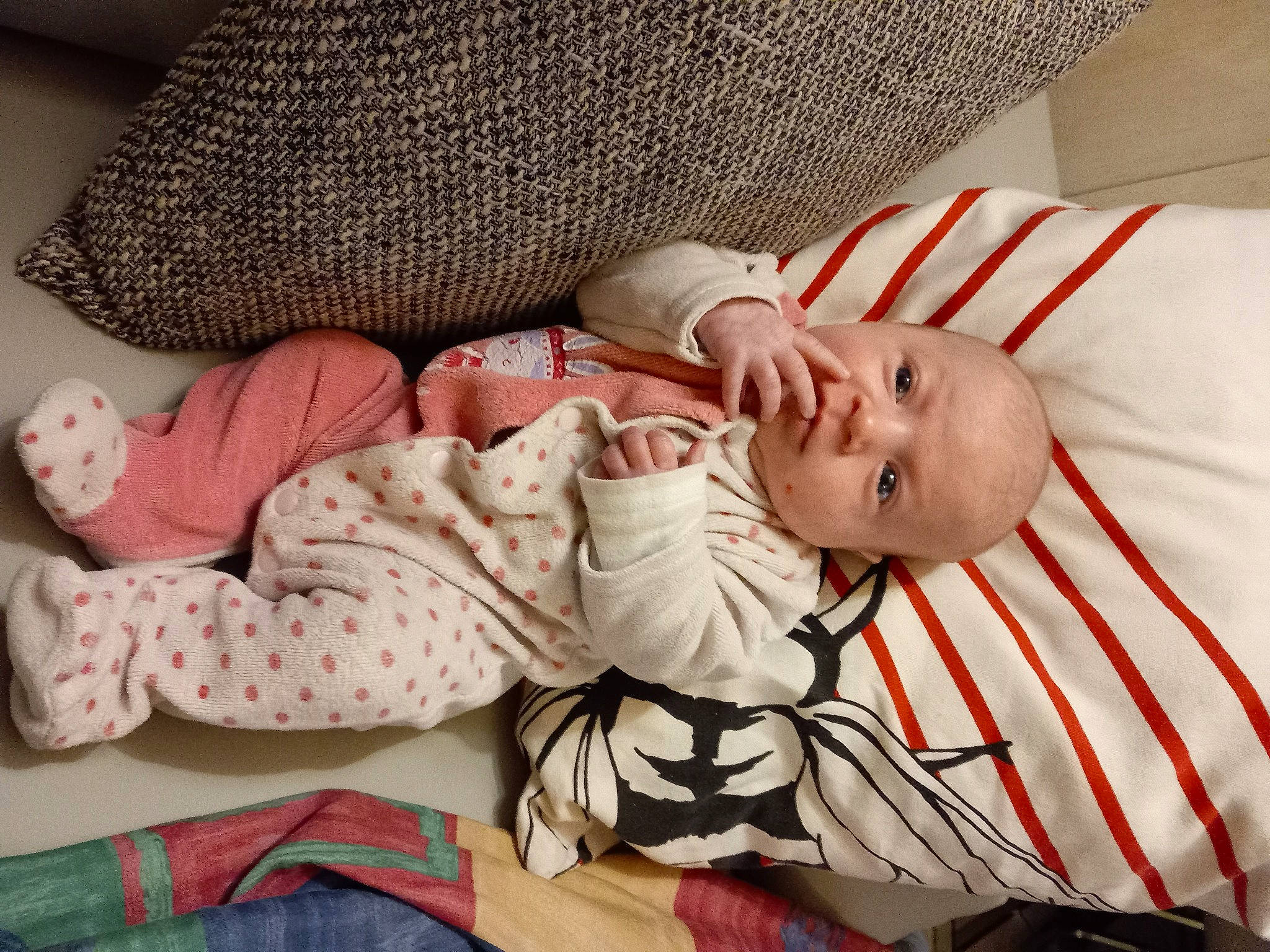 Anaïs a rejoint le concours — aidez-le/la à gagner de superbes lots ! baby, baby_sleeping, baby_toddler_clothing, bedding, bedtime, child, comfort, couch, glasses, hand, happy, linens, mammal, pattern, person, room, sitting, skin, textile, toddler